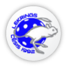 viesi logo
